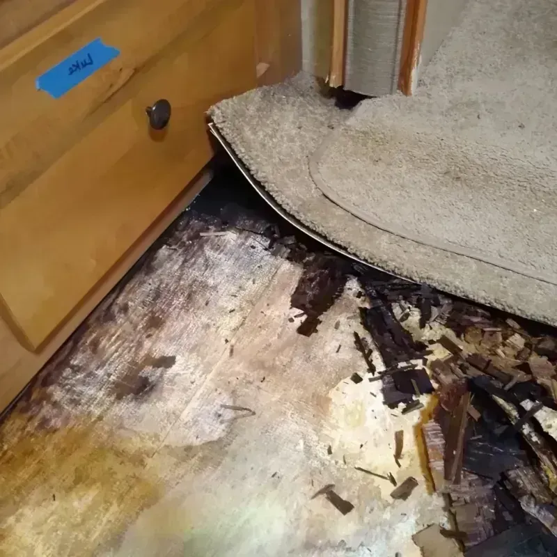 Wood Floor Water Damage in Salem, CT